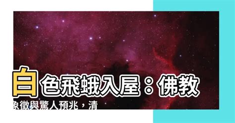 白飛蛾入屋|【白色飛蛾入屋】白色飛蛾入屋：佛教象徵與驚人預。